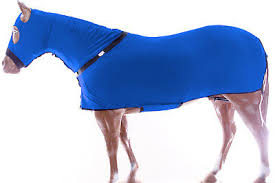 Horse Full All Body Zippered Lycra Slinky Stretch Fabric Suit Blue Medium Ebay