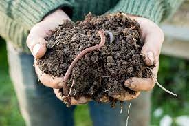 prepare soil for gardening in container