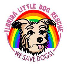 We rescue dogs who have been hit by cars, abused please note, not every dog is the right fit for every family. Florida Little Dog Rescue The Official Fan Page Home Facebook