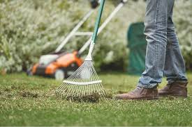How To Scarify A Lawn Guide Manual