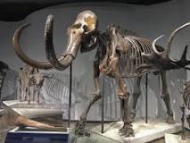 mamutların-nesli-tükendi-mi