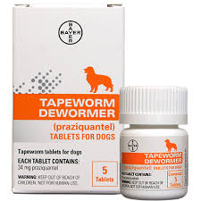 Bayer Tapeworm Dewormer Tablets For Dogs 5 Ct