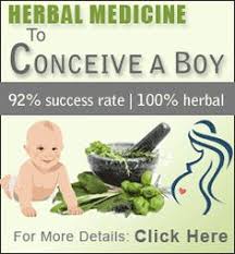 7 Best To Conceive A Baby Boy Images Alkaline Foods