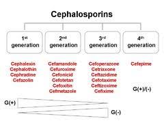 Generations Of Cephalosporins Google Search Pharmacology
