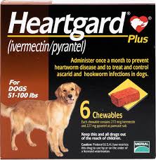 Heartgard Plus Chewable Tablets For Dogs 51 100 Lbs 6 Treatments Brown Box