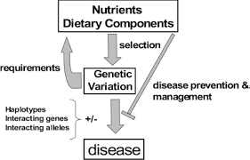 5 nutritional genomics research and