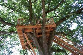 How To Build The Perfect Tree House For