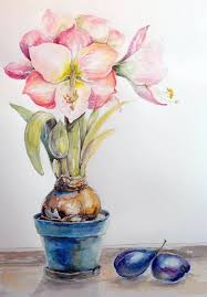 Watercolor Paintings Still Life