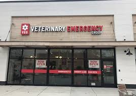 Click here to make a care credit payment. Emergency Veterinarians Newton Ma Veterinary Emergency Group