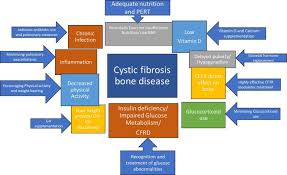 cystic fibrosis bone disease
