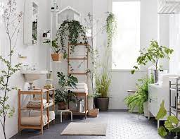 5 растений для ванной комнаты | myDecor