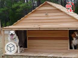 Diy Dog House Plans Double Kennel Large