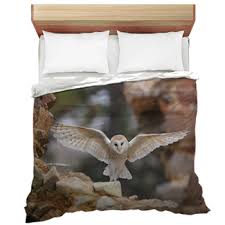 Owl Comforters Duvets Sheets Sets