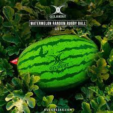 gilbert randoms rugby ball watermelon