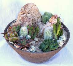 Desert In A Pot Gallery Garden Design