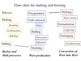 Flow Chart For Malting And Brewing Ppt Video Online Download