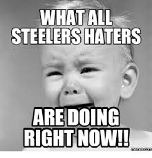 Check spelling or type a new query. What All Steelers Haters Are Doing Right Now Memesdcom Right Now Meme On Me Me