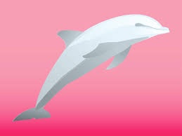 jumping dolphin vector art graphics