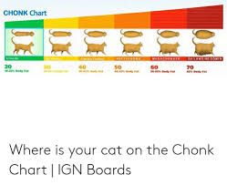 Chonk Chart Ohlawdhe Comin A Fine Be Heftychon Megachonker A