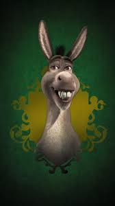 funny donkey wallpapers wallpaper cave