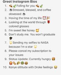 You must pay attention to how you're displaying the information with that in mind, i've prepared these suggestions to inspire you to create a unique bio. Funny Instagram Bios Status Ideas 2020 List Whitedust