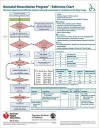 Neonatal Resuscitation Program Reference Chart Walmart Com