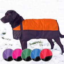 Insulated Waterproof Dog Coat All Sizes And Colors Dog
