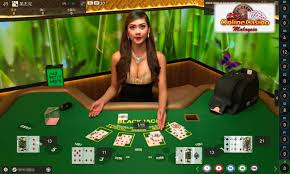 Live Casino Game Typing