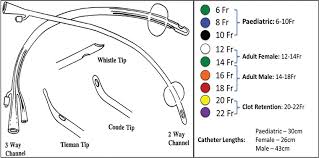 Skillful French Catheter Sizing Chart Pin Foley Catheter