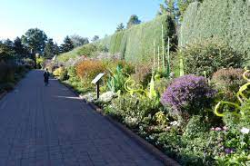 the denver botanic gardens