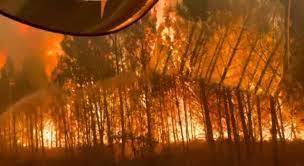 Incendie en Gironde : l'impressionnante vidéo de l'intervention des  renforts du Tarn-et-Garonne | Actu Toulouse