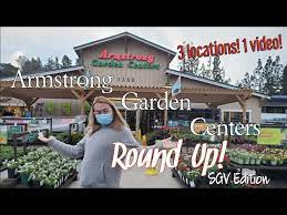 Houseplants Armstrong Garden Centers