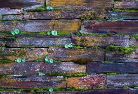 Old Brick Wall Background Free Stock