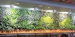 indoor plant or living wall