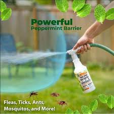 Yard Spray Bug Control Peppermint Spray