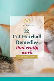 12 cat hairball remes that really