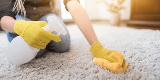 Remove Mold From Carpet Naturally