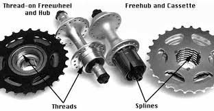 Shimano Cassettes Freehubs
