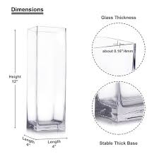 Clear Glass Rectangular Vase Diffe