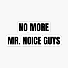 Noice guy final edition 3.0. Noice Guy Gifts Merchandise Redbubble
