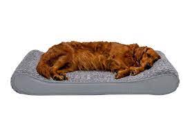 the 11 best orthopedic dog beds of 2023