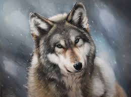 Wild Wolf Wild Wolf Painting Wolf On