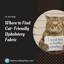 cat friendly sofa fabric is it