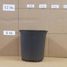 plantsbymail shipped pot sizes