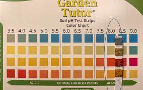 garden soil ph testing and amending