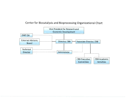 Organization Chart Center For Biocatalysis And