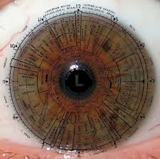 8 Pcs Left Iris Chart Free For You Iriscope Iridology