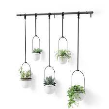 Umbra Triflora Hanging Plastic Planter