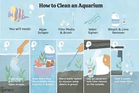 how to clean a dirty fish tank the
