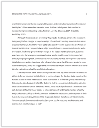 Argumentative Essay  The Basics Argumentative essays should be structured in the following way   introduction  body paragraphs and conclusion